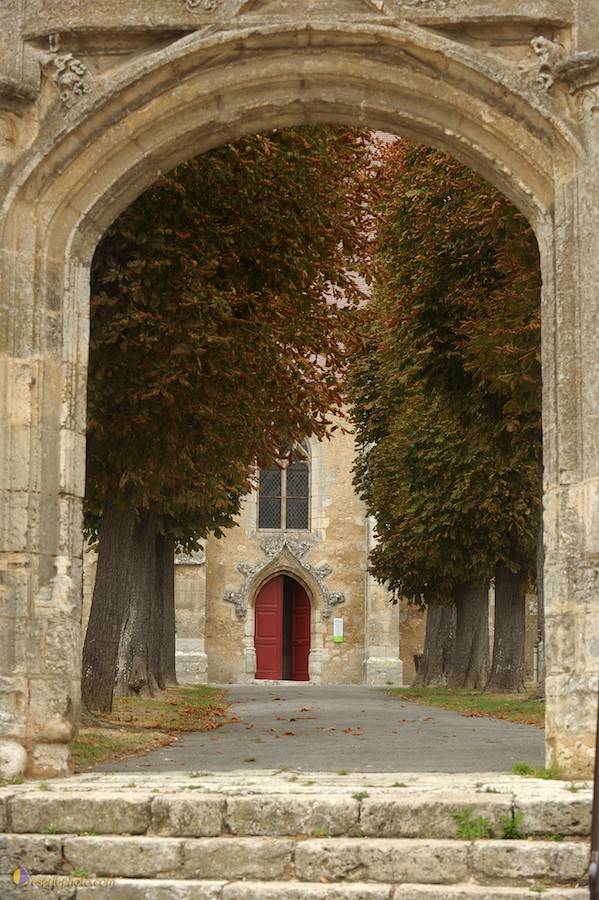 Nom de l'image : D30080431_1_(c)Norbert-JUNG — Description :